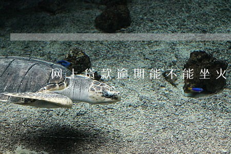 网上贷款逾期能不能坐火车 网上贷款逾期能不能坐火车