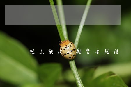 网上贷款逾期警告短信 网上贷款逾期警告短信