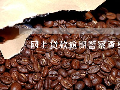 网上贷款逾期警察查身份证 网上贷款逾期警察查身份证