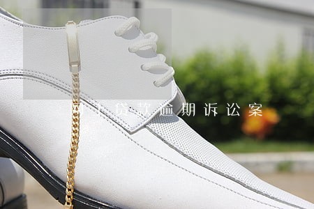 网上贷款逾期诉讼案 网上贷款逾期诉讼案