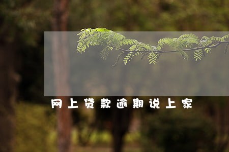网上贷款逾期说上家 网上贷款逾期说上家