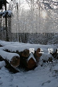 网上贷款逾期费是多少 网上贷款逾期费是多少