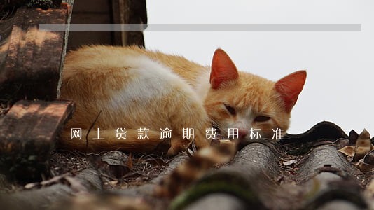 网上贷款逾期费用标准 网上贷款逾期费用标准