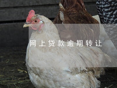 网上贷款逾期转让 网上贷款逾期转让