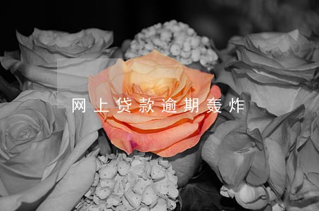 网上贷款逾期轰炸 网上贷款逾期轰炸