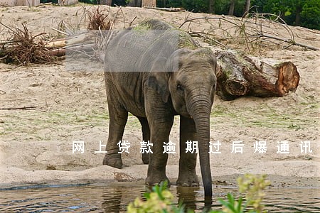 网上贷款逾期过后爆通讯录 网上贷款逾期过后爆通讯录
