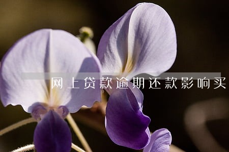 网上贷款逾期还款影响买房吗 网上贷款逾期还款影响买房吗