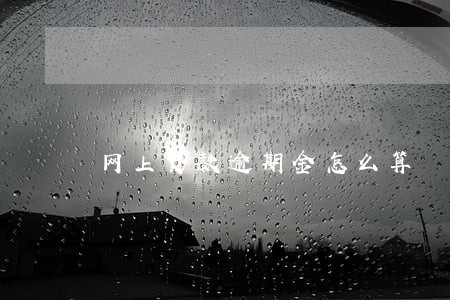 网上贷款逾期金怎么算 网上贷款逾期金怎么算