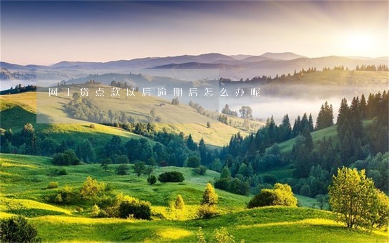 网上贷点款以后逾期后怎么办呢