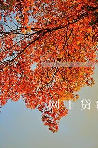 网上贷能说申请逾期减免吗 网上贷能说申请逾期减免吗