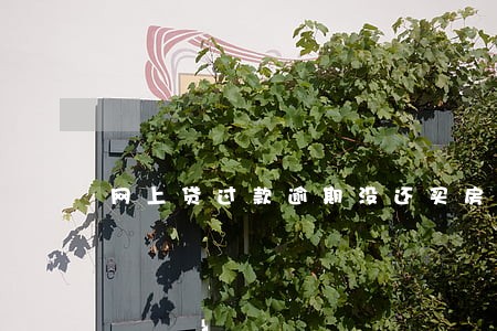 网上贷过款逾期没还买房会过吗 网上贷过款逾期没还买房会过吗