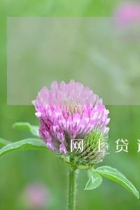 网上贷逾期 网上贷逾期