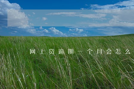 网上贷逾期一个月会怎么样 网上贷逾期一个月会怎么样