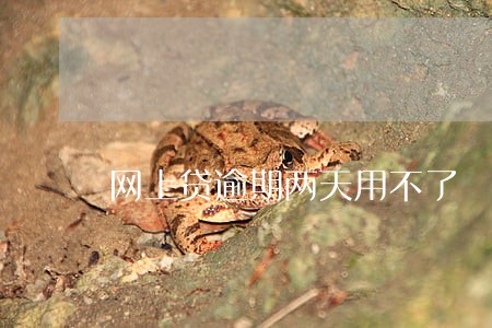 网上贷逾期两天用不了 网上贷逾期两天用不了