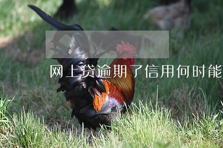网上贷逾期了信用何时能恢复 网上贷逾期了信用何时能恢复