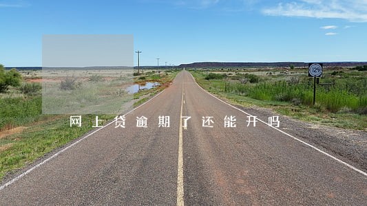 网上贷逾期了还能开吗 网上贷逾期了还能开吗