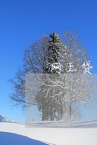 网上贷逾期可以脱好久 网上贷逾期可以脱好久