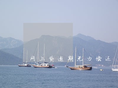 网上贷逾期无力偿还 网上贷逾期无力偿还