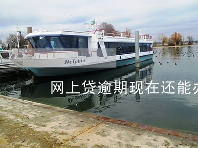 网上贷逾期现在还能办什么 网上贷逾期现在还能办什么