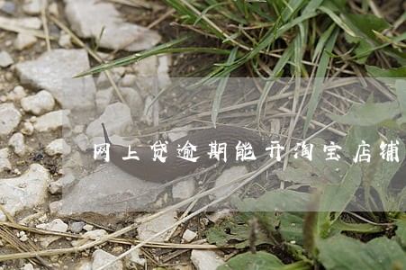 网上贷逾期能开淘宝店铺么 网上贷逾期能开淘宝店铺么