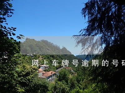 网上车牌号逾期的号码可以选吗 网上车牌号逾期的号码可以选吗