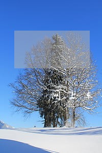 网上车牌逾期未确认车牌号 网上车牌逾期未确认车牌号