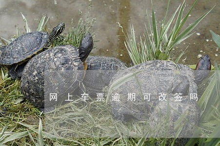 网上车票逾期可改签吗 网上车票逾期可改签吗