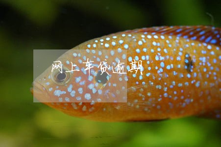 网上车贷逾期