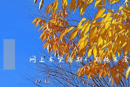 网上车贷逾期4期拖车没有通知 网上车贷逾期4期拖车没有通知