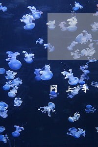网上车贷逾期多久 网上车贷逾期多久