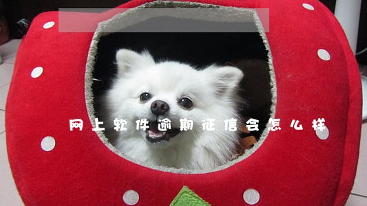 网上软件逾期征信会怎么样 网上软件逾期征信会怎么样