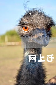网上迁户口逾期了怎么办 网上迁户口逾期了怎么办