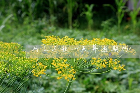 网上还款一天算逾期吗