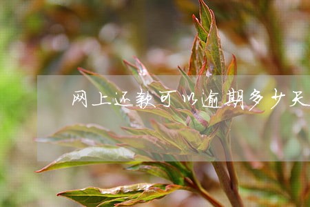 网上还款可以逾期多少天