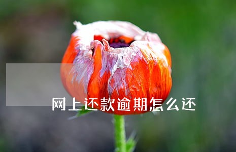 网上还款逾期怎么还 网上还款逾期怎么还