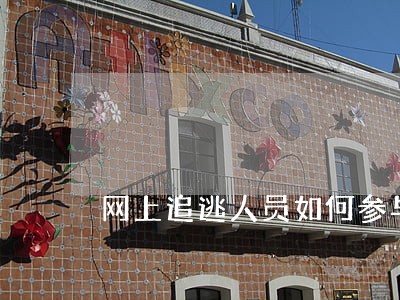 网上追逃人员如何参与诉讼 网上追逃人员如何参与诉讼