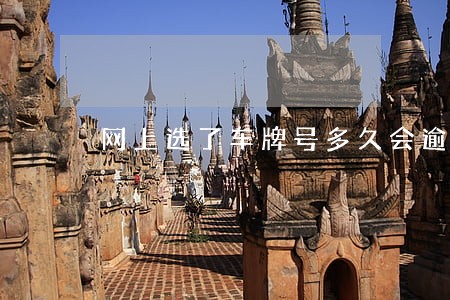 网上选了车牌号多久会逾期 网上选了车牌号多久会逾期