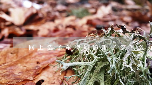 网上选了车牌号逾期了该怎么办 网上选了车牌号逾期了该怎么办