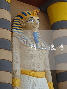 网上选号逾期可以挽回吗 网上选号逾期可以挽回吗