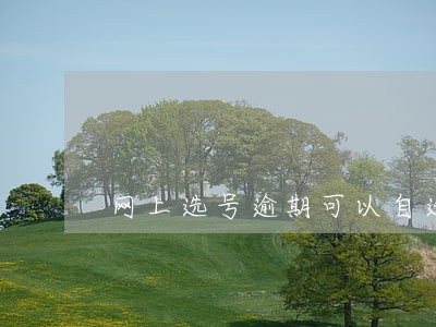 网上选号逾期可以自选吗 网上选号逾期可以自选吗