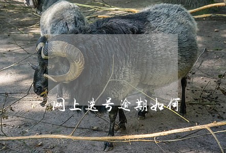 网上选号逾期如何 网上选号逾期如何