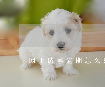 网上选号逾期怎么办 网上选号逾期怎么办
