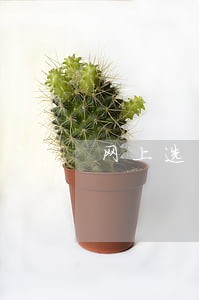 网上选号逾期未被确认 网上选号逾期未被确认