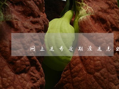网上选号逾期没选怎么办 网上选号逾期没选怎么办