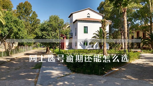 网上选号逾期还能怎么选 网上选号逾期还能怎么选