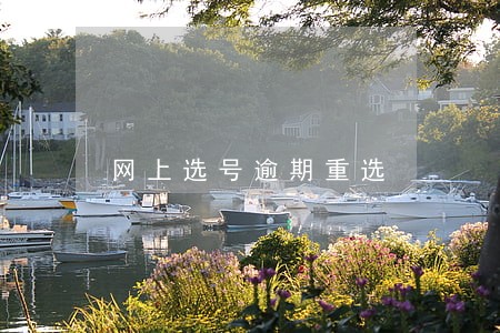 网上选号逾期重选 网上选号逾期重选
