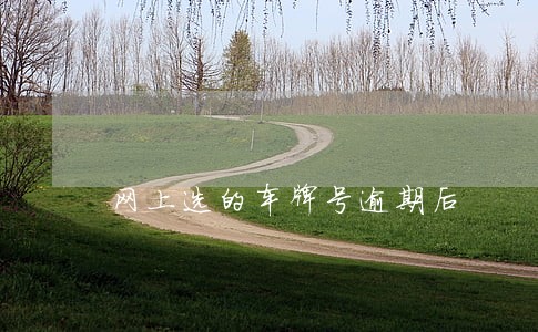 网上选的车牌号逾期后 网上选的车牌号逾期后