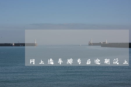 网上选车牌号后逾期没上 网上选车牌号后逾期没上
