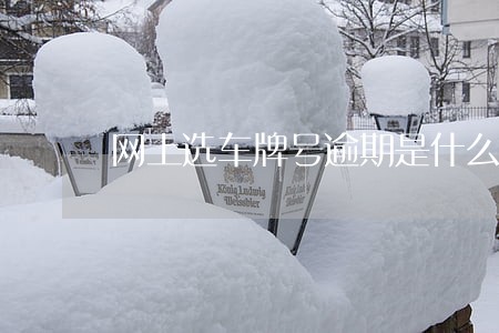 网上选车牌号逾期是什么意思 网上选车牌号逾期是什么意思