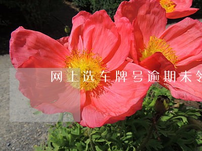 网上选车牌号逾期未领 网上选车牌号逾期未领